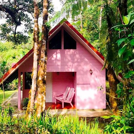 Cabanas Las Orquideas Zapotal  Esterno foto