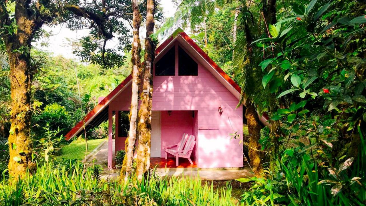 Cabanas Las Orquideas Zapotal  Esterno foto