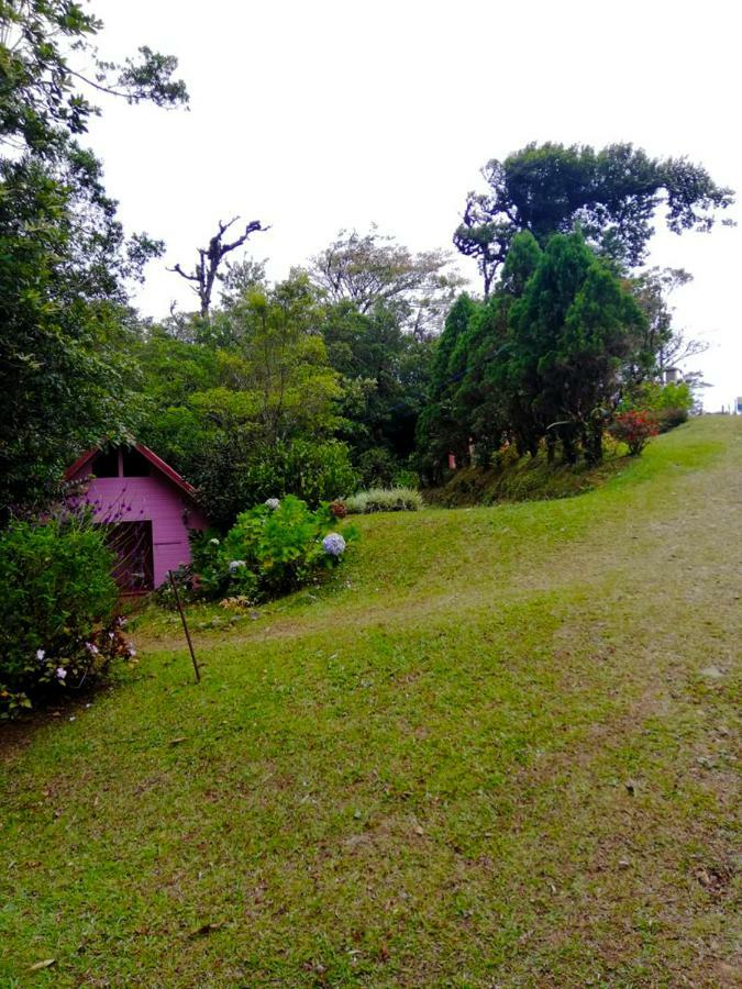 Cabanas Las Orquideas Zapotal  Esterno foto