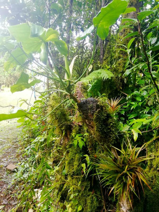 Cabanas Las Orquideas Zapotal  Esterno foto