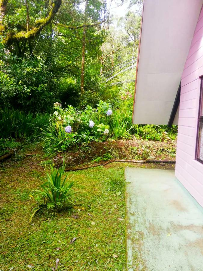 Cabanas Las Orquideas Zapotal  Esterno foto